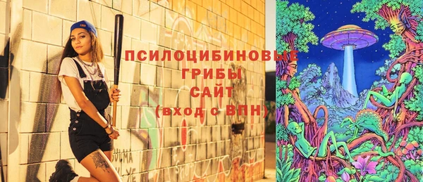 a pvp Гусь-Хрустальный