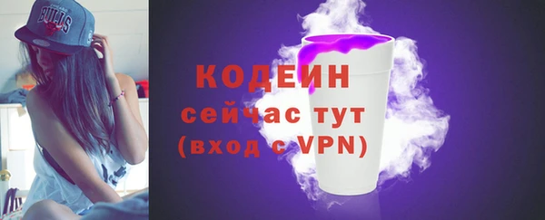 a pvp Гусь-Хрустальный