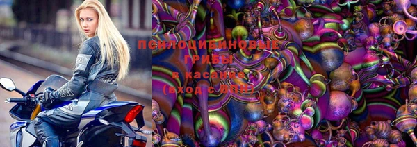 прущая мука Гусиноозёрск